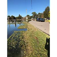 November high tide-Norfolk image